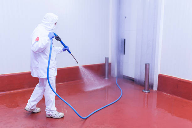 Best Paint Preparation  in Ocean City, NJ
