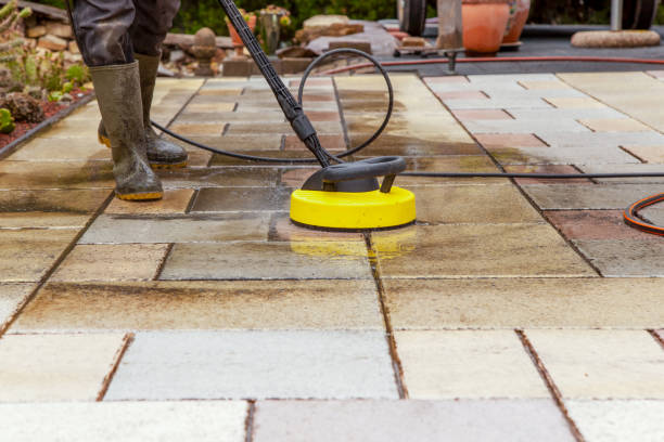 Best Roof Washing  in Ocean City, NJ
